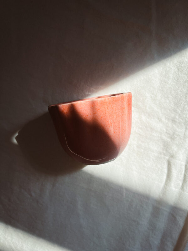 Sole Rosa - obrazek 2