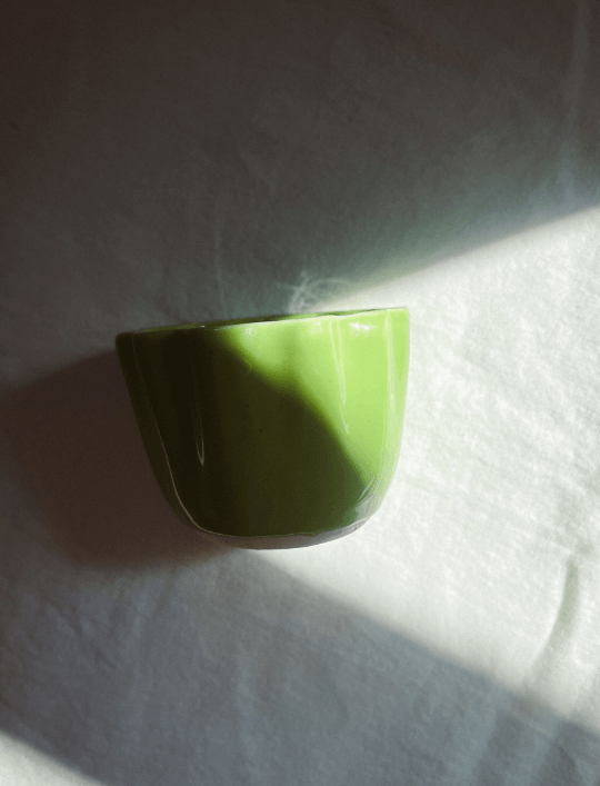 Verde Viva - obrazek 4