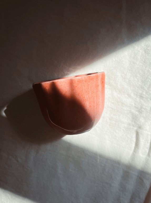 Sole Rosa - obrazek 4